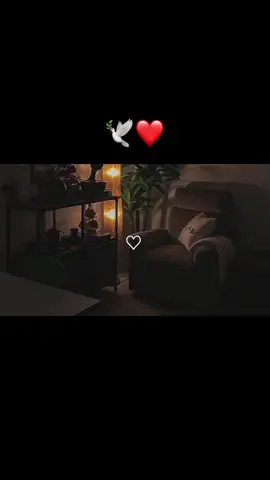 وماكنت تتلو من قبله من كتاب ولا تخطه بيمينك. #عبدالرحمن_مسعد #الاسلام_ديننا_والجنه_طريقنا #قران #quran #أرح_سمعك_وقلبك #viral #video #tiktok #foryoupage #fypシ #quran_alkarim 