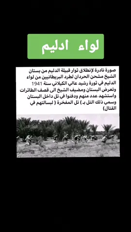 #لواء #ادليم#حياة #عازب 