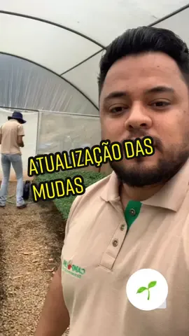 #tomateiro #Agronomo #SouDaRoça #Agricultura #mudas #AgroBrasil #CoisasDeInterior #agronomia #AgroStatus 