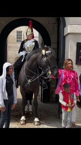 #foryoupage  #tiktokviral #viraltiktok #viralvideo #videoviral #follow #subscribe #like #share #bestvideo #fypviral #donottouch  #horseguardsparade #changingoftheguards #royalguards #thekingsguards #kingsguard #kingshorse #fyp #foryou #fypシ #fanpage #tourists #london #bluesandroyals 