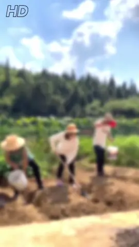 #haihuoc #vuinhon #TikTokGiaiTri #xuhuongtiktok #giaitrinao 