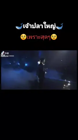 เจ้าปลาใหญ่ เสียงทรงพลังมาก #เพลงจีน #เพลงจีนเพราะๆ #เพลงจีนน่าฟัง #อย่าปิดการมองเห็น #tiktok  #pinklady🌸 #ผู้หญิงหัวใจมีเเมว🐈 