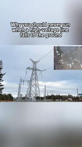 High-Voltage Danger Explained: Why Running Can Be Fatal! ⚡️😱 #HighVoltage  #SafetyTips #ElectricalSafety #KnowTheFacts #SafetyMatters #longervideos 
