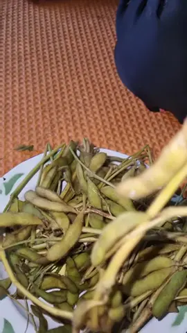 dele godok #kedelairebus #kedelai #cemilandeso  #makanandesa 