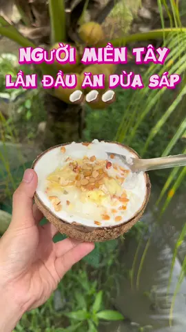 Dừa sáp hot rần rần ăn có ngon không? Có nên mua ăn hay không? #ancungtiktok #review #anuong #nauan #xuhuong 
