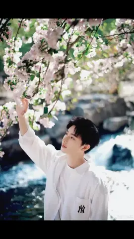 Anh ta đẹp quá toi không cưỡng lại được 🤧🤧🤧🤧 #vuonghuuthac 