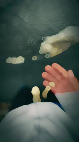 cần cù bù thông minh đúng không mn?🥰 #capcut #changthuysan #xuhuong #nuoitomcongnghecao 