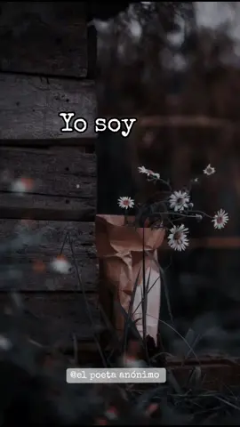 Quiero ser ese loco que te ama, bajarte las estrellas y constelaciones con cada verso y poema mío.  #parati #paratii #viral #viraltiktok #foryou #luismiguel #poesia #escritor #letras #escritos #lovesong #historias #loveyourself #poesias #café #cafecito #amores #romantico #Love #boleros 