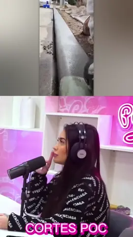 #CapCut te amo piranha #mirella #meme #poccast #podcast #viral #poddelas #podpah 