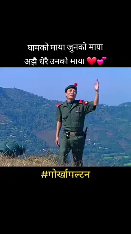 घामको माया जुनको माया, अझै धेरै उनको माया ❤️🙏 #ghamkomayajunkomaya #gorkhapaltan #ranjitagurung #prasanttamang #oldnepalimoviesong #Sing_MovieSong #nepalimoviesong #गोर्खापल्टन #movieclipsnepal23 