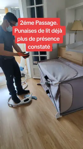 #punaise #punaisesdelit #cleanuisibles #var #toulon  #desinsectisation #desinfection #insectes #piquresdinsectes 