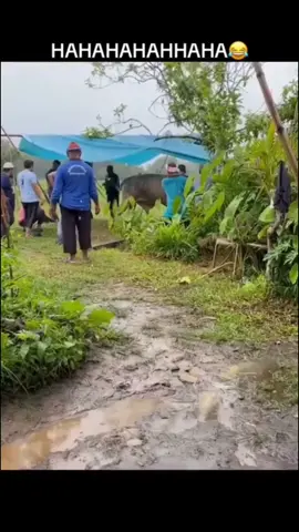 bat🤸 malungkot🤸ang🤸beshy🤸ko🤸 #batmalungkot🤸‍♀️🤸‍♀️angbeshyko🤸‍♀️🤸‍♀️ #batmalungkotangbeshyko🤣🤣🤣 #batmalungkotangbeshieko #batmalungkotangbeshyko #meme #memes #joke #trending #viralvideo #funnyvideos #funny #nadulas 