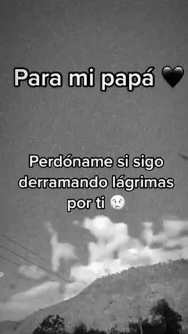 #papa #reflexion #paramipapa #teestrañopapa 