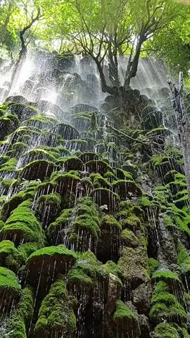 #ဂဏန်းကျရေတံခွန် #ရွာငံမရောက်ခင် #စံပြကျေးရွာ #ရှုခင်းလေးလှလို့🌲🌲🌲😍 #foryou #foryoupage #fpy #500kviews✔️tiktok❤️ 