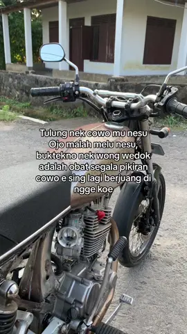 Dong pora jane 