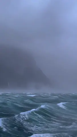 Vùng biển này ma mị quá #bienmami #mami #nhacmami #nhackinhdi #biende 