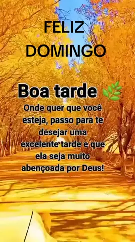 BOA TARDE LINDO LOUVOR 
