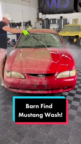 Barn Find Mustang First Wash in Years! #wddetailing #satisfying #detailing #oddlysatisfying #cardetailing #foryou #asmr #fyp #satisfyingvideos #barnfind #carcleaning #pressurewashing #CleanTok #carwash 