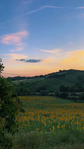 Romanticizing my life 🫶🏻 #fyp #italy #vacation #italia #romanticizeyourlife #dogsoftiktok #beach #sunflower 