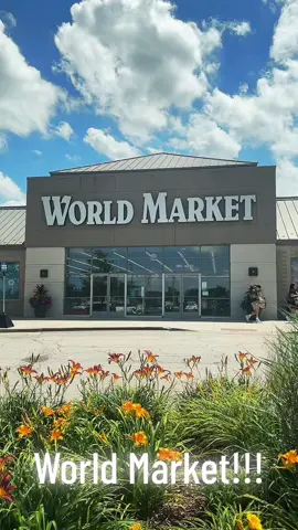 World Market #japan #mexico🇲🇽 #candy #efrutti #fun #challenge #fyp #foryoupage #world #pickle 