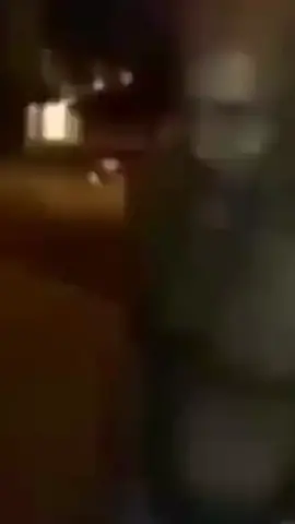 vapi vapi #shitpost #flamengo #whatsapp 