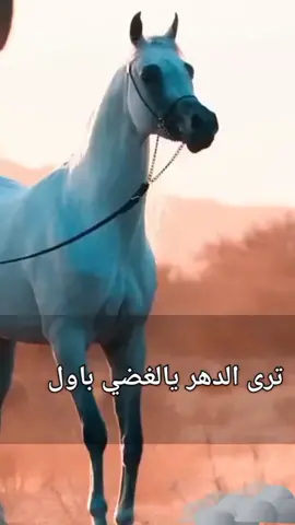 #المطانيخ الكفووو #ارحبووو🤞 