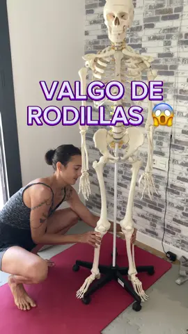 ¿Valgo de rodillas? Hoy te traigo algunos ejercicios para reequilibrar las cadenas miofasciales que suelen ser afectadas con esta condición! Espero que te ayude 😘🫶🏽 #valgoderodilla #genuvalgo #genuvalgum #genuvalgum #ligamentolateralinterno #ligamentolateralmedial #dolorderodilla #rodillasenx #rodillasenforma #rodillassanas 