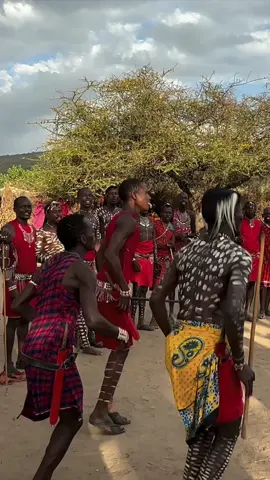 #PremiereRush #masai #masaiwarrior #masaidance #kenya #masaimara #travelkenia #traveltiktok #masaijumping #jumpingdance #FYP #viral #beatifuldans #traditionaldans #jumping #masai