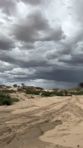#امطار #الجنوب#الديار#المملكه_العربيه_السعوديه #سجات #سيول #اكسبلور #اكس 