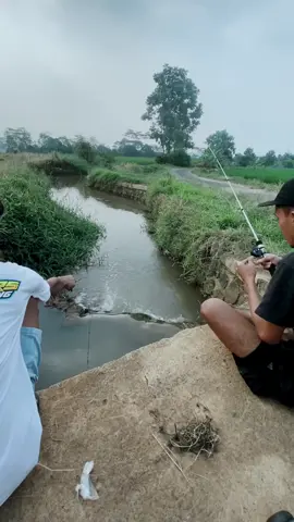 Spot parit hasil elit :D#CapCut #fypdongggggggg #microfishing #wader 