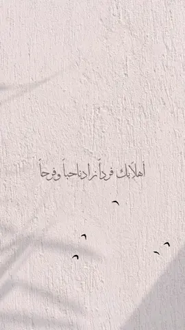 أهلا بك فردا زادنا حبا و فرحا مولود حفيد الخالات أبن أختي محمد