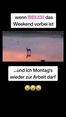 Schicken Wochenstart ihr Lieben 🥳🥳🥳#montag #endlichwiederarbeiten #work #fyyyyyyyyyyyyyyyy #fypシ #foru #fypシ゚viral #TikTokPromote #❤️ #derwahnsinn #neuewocheneuesglück #funni #4u 