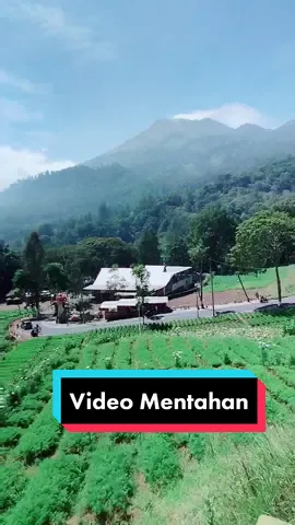 Video Mentahan buat prank temen dan story WA..  atau bisa juga buat bahan editing kalian kasih kata2 keren menurut versi kalian #mentahanvideo #mentahan #bahaneditan #bahanediting #mentahanedit #cangar #cangarbatu #cangarpacetmojokerto #cangarbatumalang #sunmori #mojokerto #mojokertotiktok #mojokertojalanjalan #mojokertokeren #mojokertohits #mojokerto_story #mojokerto24jam #fypmojokerto #fypcangar #trendingmojokerto #trendingcangar #fyp #fyptiktok #fypdongggggggg #trending #trendingtiktok #trendingvideo 