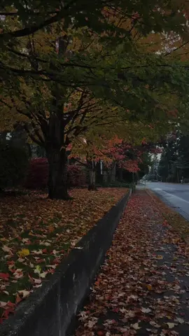 counting down the days •  #washington #wa #pacificnorthwest #washingtonstate #pnw #twilight #darkaesthetic #fall #autumn 