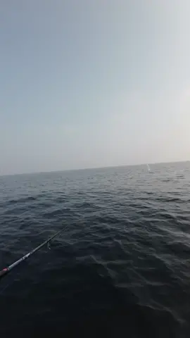 Action by MM8, made fish fly #fy #fypシ #viral #fish #fishing #gofishing #topwaterfishing #explore #اكبسلور 