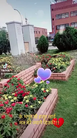 #fypシ #trending #kebhannurakhai🙏❤️🙏 hajurlai mata merai jyana diula#foryou_song❤️ #panchthar_muser 