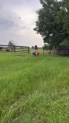 Finally back in the country where i belong #dirtroadanthem #abellagracex #redheadsdoitbest #gingercity #cornfarmersoftiktok 