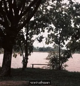 ก่อนที่เขาจะมาแทน#เธรด #fyp 