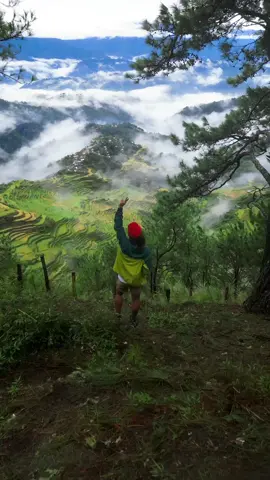 A paradise called Maligcong Rice Terraces... 🍃 #travelwithyel #Hiking #lovethephilipines #fyp 