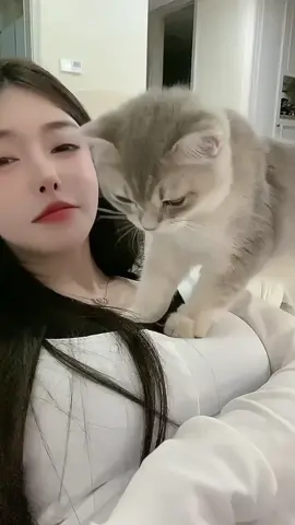 Chú mèo may mắn và cô gái xinh đẹp #xinhtuoingaymoi💞 #catgirl #thucung #girl #style #xinhgai #fyp #xuhuong