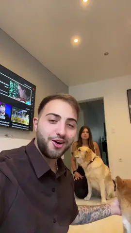 Nala hat jetzt Freunde🤫😮‍💨😘 sind Coco und Nala nicht süß?🥺@Xenia 💙 #foryou #fürdich #fyp #viral 