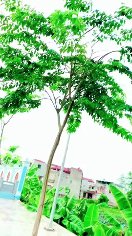 a có nhiều bằng hơn nha#vyquyet193 #xuhuong2023 #anhthosuaxe #xuhuongtiktok 