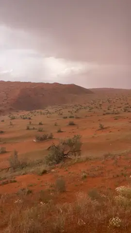 #اجواء #امطار #طلعات_البر 