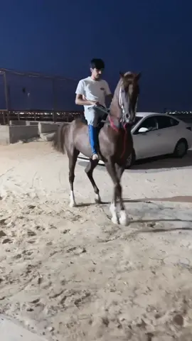 دلهام ♥️