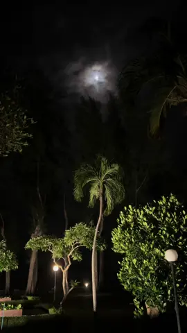 “จันทร์เจ้ารู้หรือป่าวว่าฉันเหงาเกินกว่าใคร”