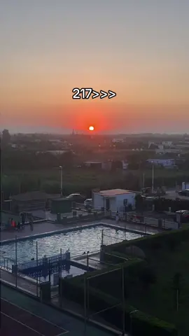 lección 217 #greenscreen #parati #lentejas 