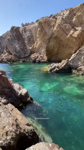 أحد الأماكن الساحرة بوهران ❤️🌊 Cap d’aigule krichtel oran 📍🇩🇿 • • • • • #اماكن #وهران #الجزائر #مناظر_طبيعيه #summe #oran #wahren #dz #algeria #algerie #viral #tiktok #sea #ocean #Love #travel #tourism #bleu #green #الشعب_الصيني_ماله_حل😂😂 #foryou #fyp #views #مشاهدات #حوس_بلادك #الصيف #dzpower #dz #nature #photography 