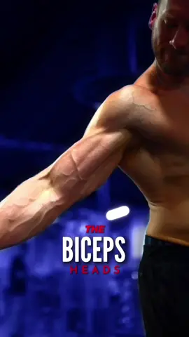 Remember this & save 👉🏼 Biceps training does not need to be . It won’t make a difference for most. You’ll make all the progress you want by focusing on the basics and getting STRONGER at them. — When would someone ever need to intentionally bias the short & long heads of their biceps? — Perhaps if they’ve trained for a very long time, and they’re getting close to their bicep’s maximum growth potential. Essentially, it would be an attempt to squeeze out the last remaining gains they could ever get. — The other scenario would be if one of the biceps heads had an obvious deficit in development. The individual may want to direct their training towards that head. But again, the lack of development would only be apparent if the individual was advanced and had years of training under their belt. — With that said, if you enjoy doing exercises that slightly bias one head over the other, go for it! They will help grow your arms, and can help keep training fun and fresh. I’m not saying “don’t do these exercises”. I’m merely saying “don’t worry about intentionally trying to direct growth unless you’re highly advanced, or, you’re advanced AND have an obvious deficit in development”. 𝗦𝗵𝗼𝗿𝘁𝘀 𝗯𝘆 𝗔𝗦𝗥𝗩 | 𝗧𝗵𝗲 𝗼𝗻𝗹𝘆 𝘁𝗿𝗮𝗶𝗻𝗶𝗻𝗴 𝗴𝗲𝗮𝗿 𝗜 𝘄𝗲𝗮𝗿 @asrv  ••• #biceps #armworkout #bodybuilding #bodybuildingtips #rysesupps #davisdiley