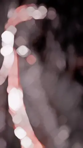 #خيل_وخياله🐎 #خيل 