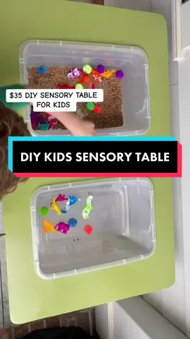 DIY KIDS SENSORY TABLE BUILD🎨🧩👶🏼 #sensorytable #sensorytableideas #kidstoys #diyproject #sensorytablehack #sensorytableplay #beginnerdiy 